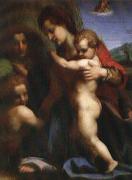 Andrea del Sarto Our Lady of sub china oil painting reproduction